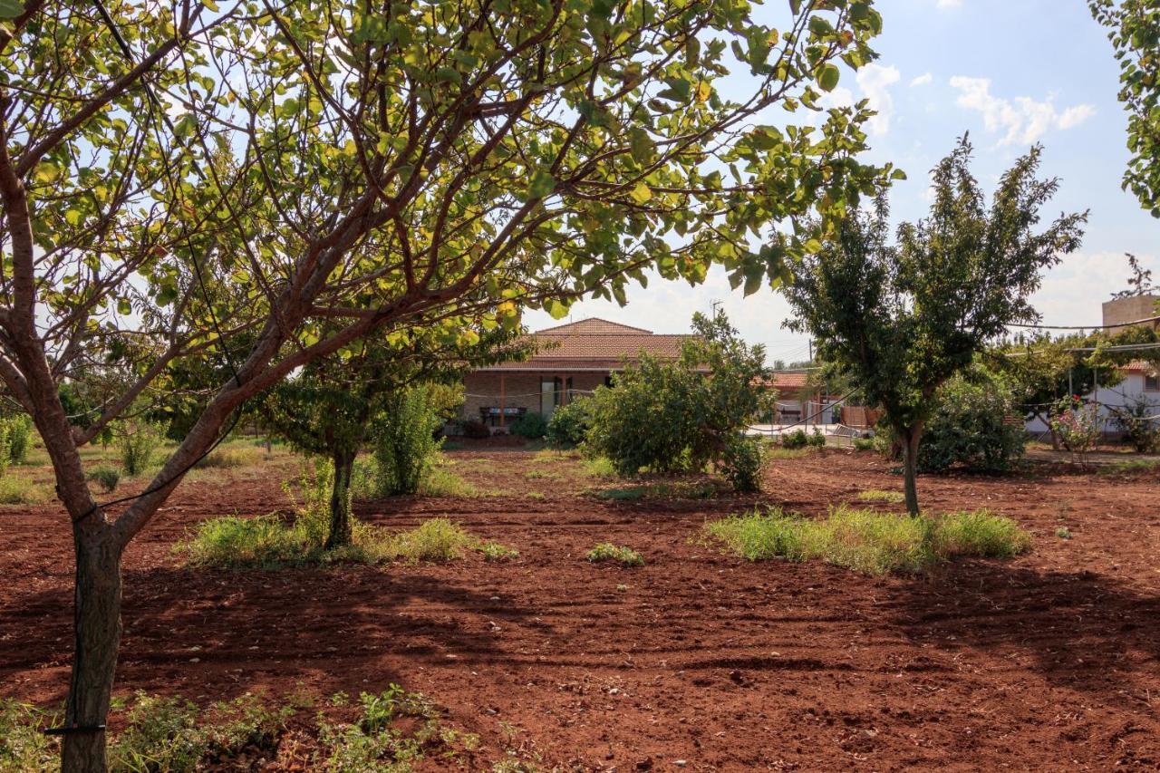 Berryrose Villa Perivolia Buitenkant foto