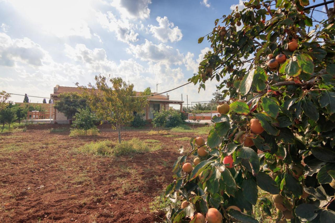 Berryrose Villa Perivolia Buitenkant foto